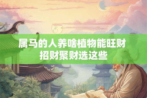 属马的人养啥植物能旺财 招财聚财选这些