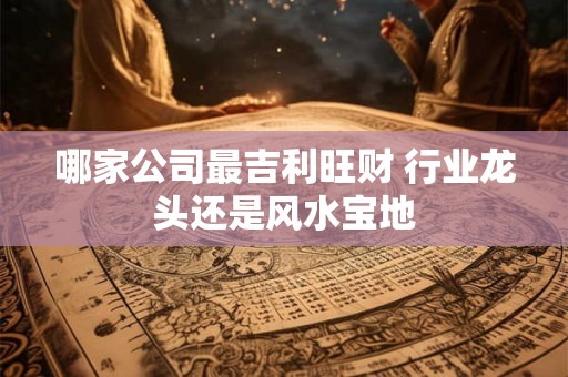 哪家公司最吉利旺财 行业龙头还是风水宝地
