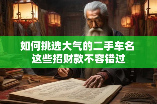 如何挑选大气的二手车名 这些招财款不容错过