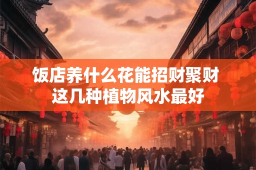 详细阅读:饭店养什么花能招财聚财 这几种植物风水最好 饭店养什么花能招财聚财 这几种植物风水最好