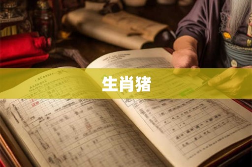 生肖猪