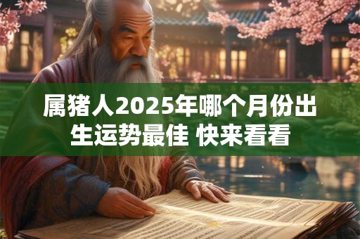 属猪人2025年哪个月份出生运势最佳 快来看看