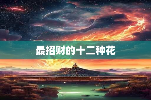 最招财的十二种花