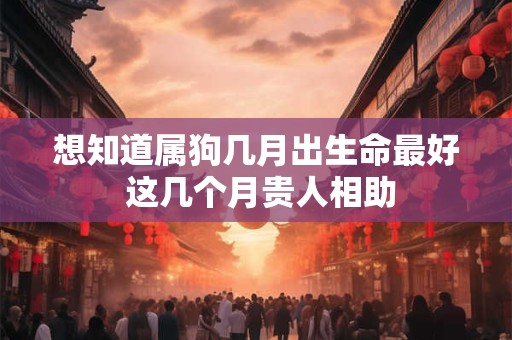 姻缘签'柳暗花明又一村'：你的爱情将迎来惊喜还是挑战