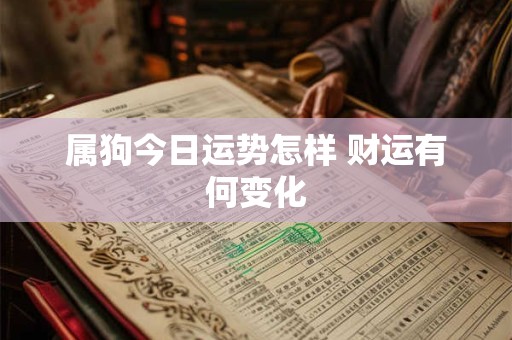 属狗今日运势怎样 财运有何变化
