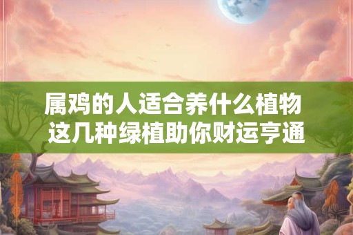 属鸡的人适合养什么植物 这几种绿植助你财运亨通