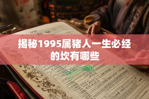 揭秘1995属猪人一生必经的坎有哪些