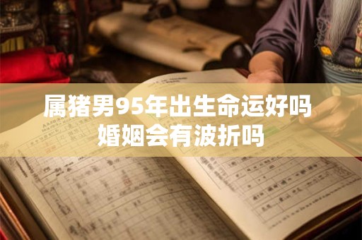 属猪男95年出生命运好吗 婚姻会有波折吗