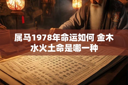 属马1978年命运如何 金木水火土命是哪一种