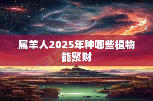 属羊人2025年种哪些植物能聚财
