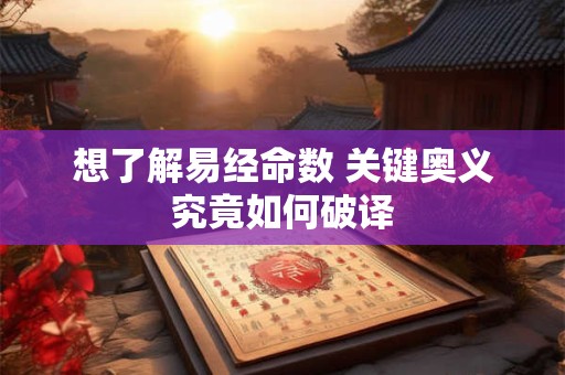 属羊人2025年高考命运是否顺利 关键转折点在哪