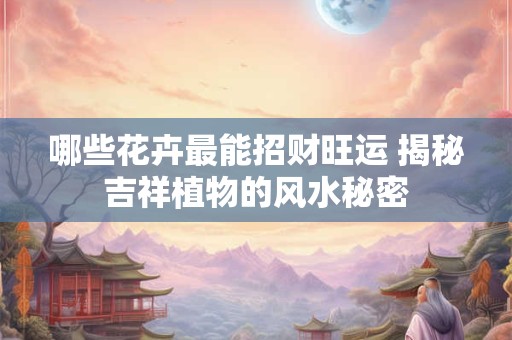 哪些花卉最能招财旺运 揭秘吉祥植物的风水秘密