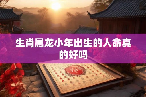生肖属龙小年出生的人命真的好吗