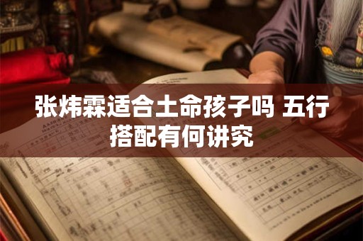 张炜霖适合土命孩子吗 五行搭配有何讲究