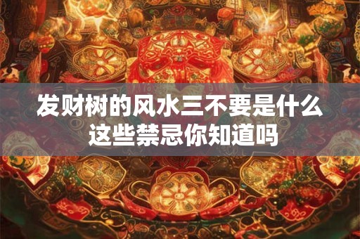 发财树的风水三不要是什么 这些禁忌你知道吗