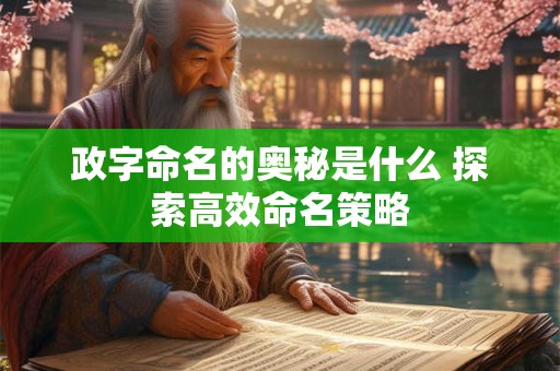 政字命名的奥秘是什么 探索高效命名策略
