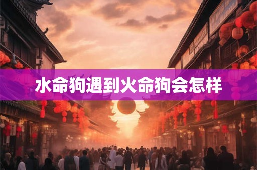 水命狗遇到火命狗会怎样