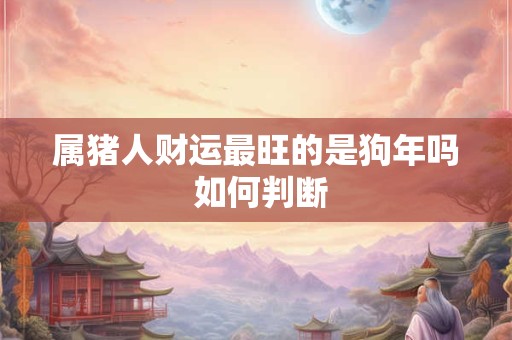 属猪人财运最旺的是狗年吗 如何判断