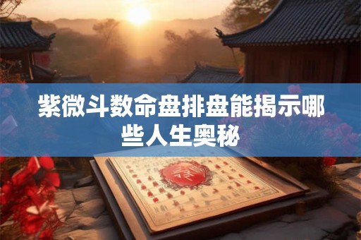 紫微斗数命盘排盘能揭示哪些人生奥秘
