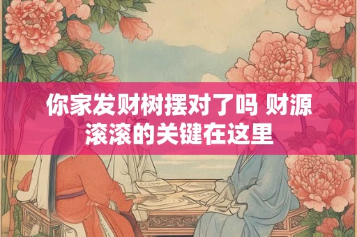 你家发财树摆对了吗 财源滚滚的关键在这里