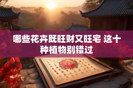 哪些花卉既旺财又旺宅 这十种植物别错过