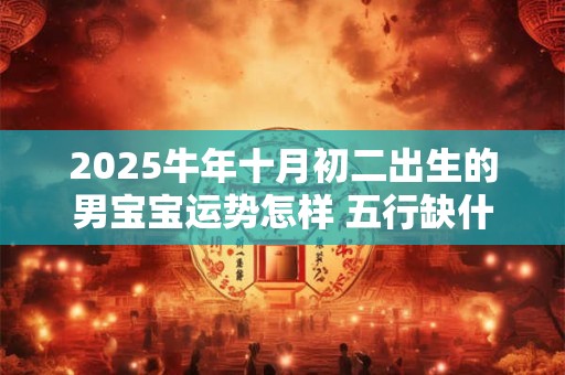 2025牛年十月初二出生的男宝宝运势怎样 五行缺什么
