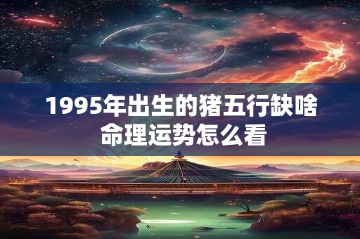 1995年出生的猪五行缺啥 命理运势怎么看