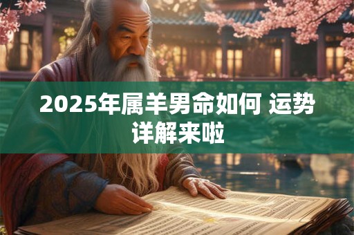 2025年属羊男命如何 运势详解来啦