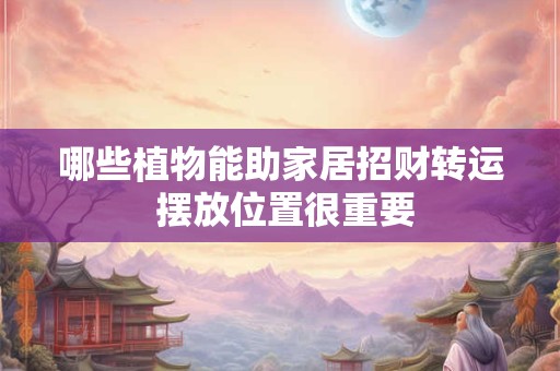 哪些植物能助家居招财转运 摆放位置很重要