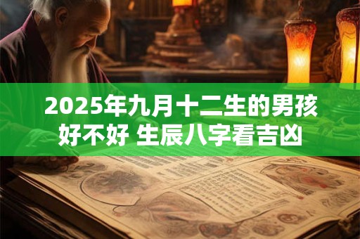 2025年九月十二生的男孩好不好 生辰八字看吉凶