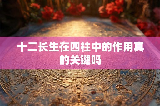 十二长生在四柱中的作用真的关键吗