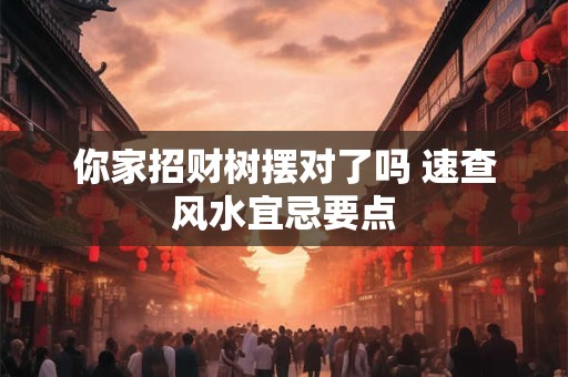 你家招财树摆对了吗 速查风水宜忌要点