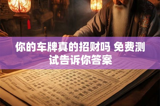 你的车牌真的招财吗 免费测试告诉你答案