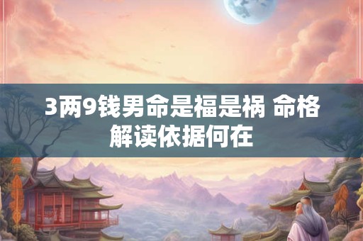 3两9钱男命是福是祸 命格解读依据何在