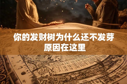 你的发财树为什么还不发芽 原因在这里