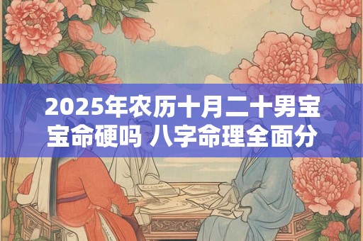 2025年农历十月二十男宝宝命硬吗 八字命理全面分析