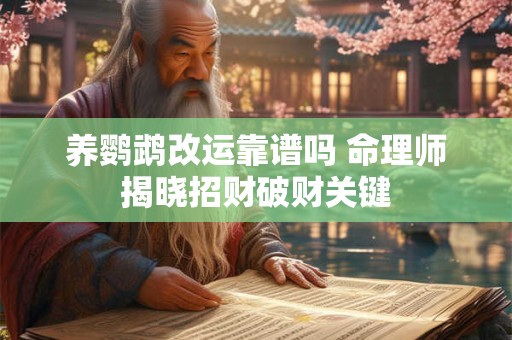 养鹦鹉改运靠谱吗 命理师揭晓招财破财关键