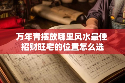 万年青摆放哪里风水最佳 招财旺宅的位置怎么选