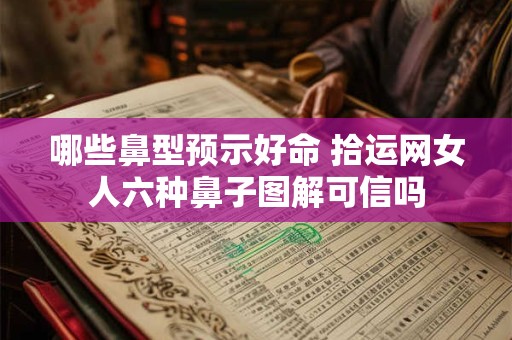 哪些鼻型预示好命 拾运网女人六种鼻子图解可信吗