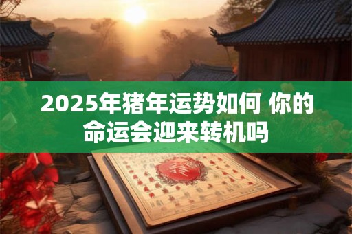 2025年猪年运势如何 你的命运会迎来转机吗