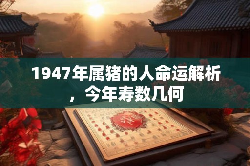 1947年属猪的人命运解析，今年寿数几何
