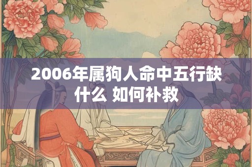 2006年属狗人命中五行缺什么 如何补救