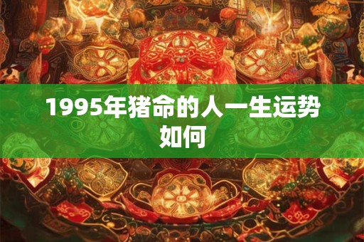 1995年猪命的人一生运势如何