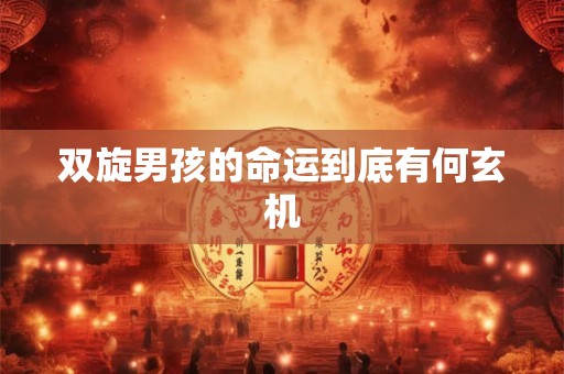 双旋男孩的命运到底有何玄机