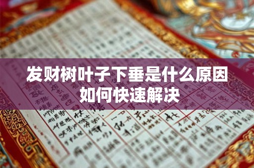 发财树叶子下垂是什么原因 如何快速解决