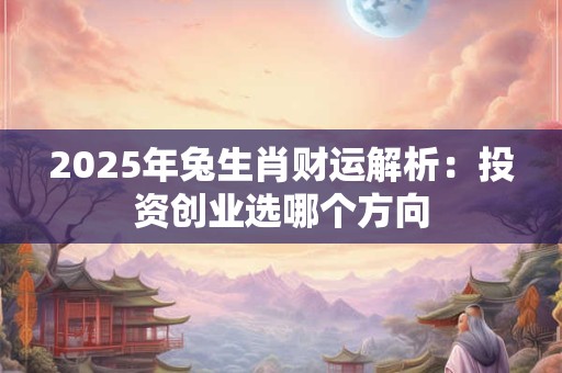 2025年兔生肖财运解析：投资创业选哪个方向