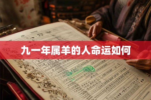 九一年属羊的人命运如何
