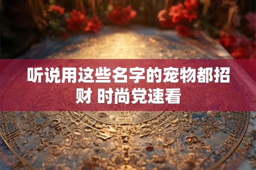 听说用这些名字的宠物都招财 时尚党速看