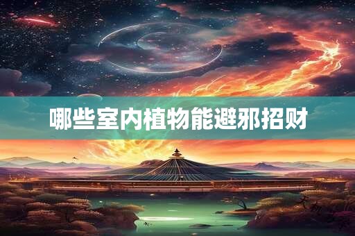 哪些室内植物能避邪招财