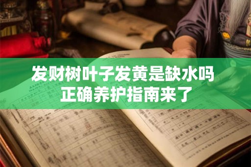 发财树叶子发黄是缺水吗 正确养护指南来了